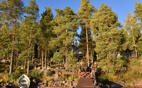 Villa Miestamo: Albero, Corpo D'Acqua, Ambiente Naturale, Natura, Legna, Paesaggio Naturale, Banca, Lago, Foresta