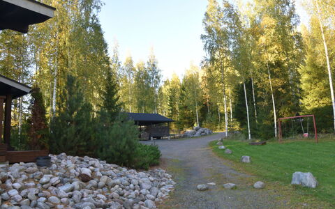 Villa Miestamo: Foresta, Giardino, Shade, Boschetto, Woodland, Landscaping, Larice