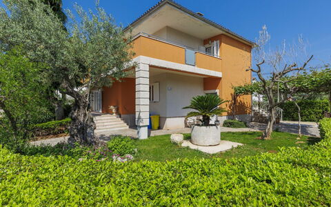 Umag 119: Pianta, Costruzione, Proprietà, Cielo, Natura, Botanica, Casa, Vegetazione, Lotto, Albero
