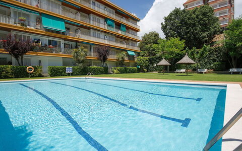 Buenos Aires: Costruzione, Pianta, Giorno, Proprietà, Nube, Cielo, Finestra, Piscina, Azzurro, Albero