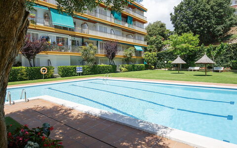 Buenos Aires: Pianta, Acqua, Costruzione, Finestra, Albero, Piscina, Nube, Botanica, Shade, Urban Design