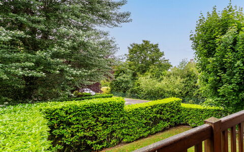 Les Manoirs: Verde, Foglia, Vegetazione, Arbusto, Hedge, Giardino, Comunita 'Impianto, Groundcover, Woody Impianto, Prato