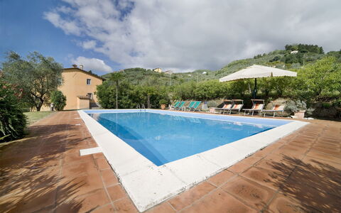 Teto: Piscina, Proprietà, Immobiliare, Casa, Costruzione, Vacanza, Casa, Estate, Ricorrere, Cielo