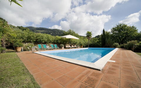 Teto: Piscina, Proprietà, Immobiliare, Estate, Tempo Libero, Casa, Casa, Costruzione, Villa, Backyard