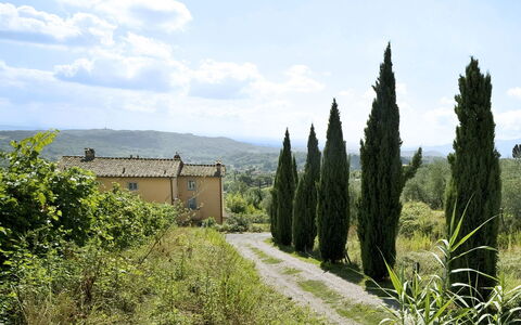 Teto: Vegetazione, Albero, Graminacee, Cielo, Erba, Area Rurale, Lotto, Pianta, Collina, Campo