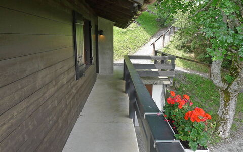 Alpe des Chaux 500: Pianta, Proprietà, Costruzione, Fiore, Architettura, Manto Stradale, Legna, Casa, Erba, Albero