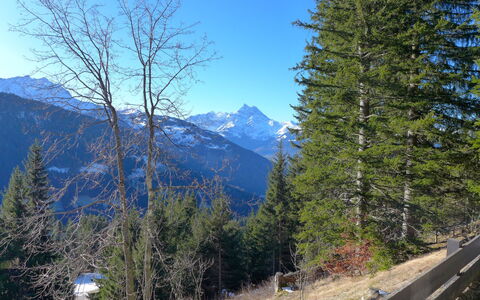 Alpe des Chaux 500: Cielo, Pianta, Montagna, Blu, Paesaggio Naturale, Larice, Albero, Highland, Pendenza, Vegetazione