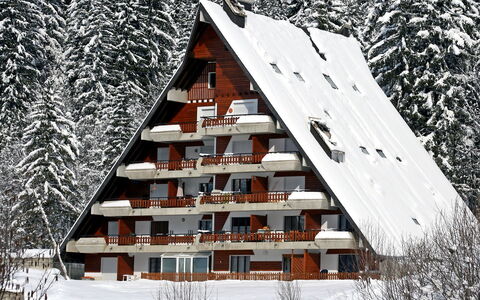 Anémone 2 16: Costruzione, Proprietà, Neve, Finestra, Foglia, Natura, Legna, Pianta, Casa, Architettura