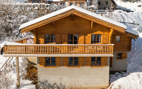 Ardévaz i: Neve, Costruzione, Proprietà, Finestra, Pianta, Legna, Casa, Albero, Congelamento, Pendenza
