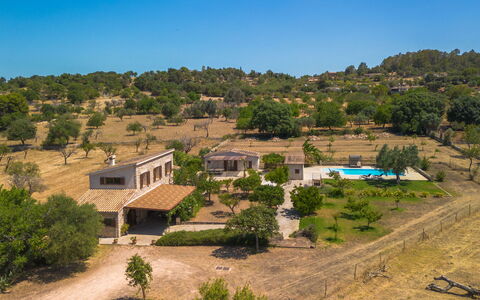 Cas Ciutada: Albero, Estate, Casa, Area Rurale, Agriturismo, Hacienda, Villa, Shade, Eco Hotel, Cortile