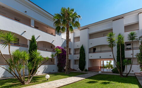 Casa Vecchi: Pianta, Cielo, Giorno, Proprietà, Costruzione, Finestra, Albero, Arecales, Zona Residenziale, Immobiliare