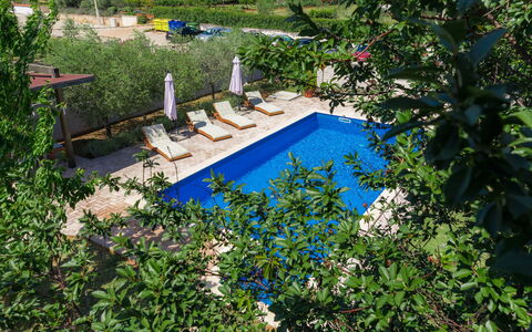 Adria: Pianta, Acqua, Comunita 'Impianto, Piscina, Paesaggio Naturale, Botanica, Mobili Da Esterno, Fiore, Alveo, Albero
