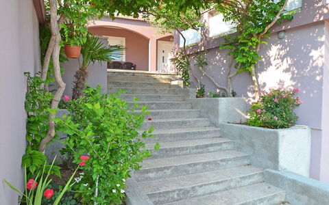 Novigrad (Zadar) 112: Pianta, Costruzione, Proprietà, Fiore, Le Scale, Foglia, Casa, Finestra, Manto Stradale, Vegetazione