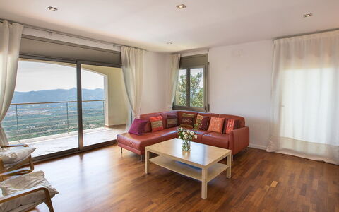 Amalia: Costruzione, Mobilia, Divano, Tavolo, Pianta, Comfort, Tenda, Legna, Shade, Interior Design