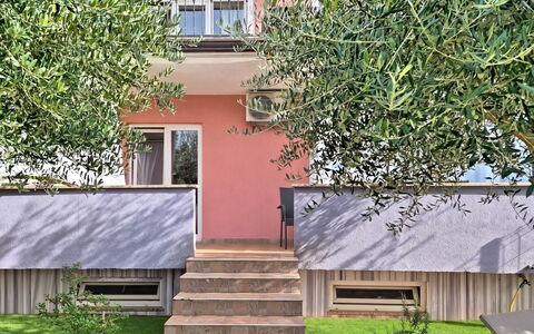 Finida: Casa, Giardino, Balcone, Portico, Corrimano, Backyard, Le Scale, Cortile, Shade, Landscaping