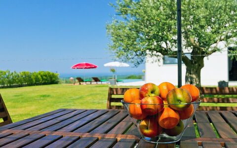 Anna: Deck, Erba, Arancia, Tavolo, Albero, Pianta, Tempo Libero, Immobiliare, Paesaggio