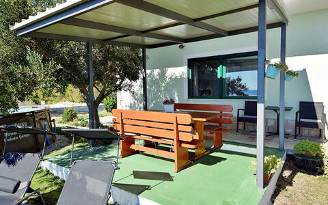 Vesna: Pianta, Proprietà, Costruzione, Shade, Mobili Da Esterno, Interior Design, Legna, Urban Design, Zona Residenziale, Albero
