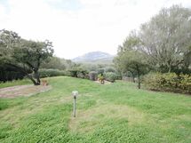 Golf Ira 5 Posti Porto Rotondo