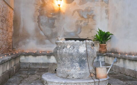 Pula Vodnjan 103: Pianta, Vaso Di Fiori, Luce, Illuminazione, Pianta Della Casa, Interior Design, Costruzione, Mattina, Legna, Calore