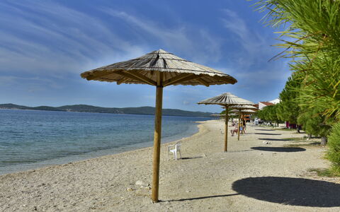 Zadar Bibinje 208: Acqua, Nube, Cielo, Azzurro, Natura, Pianta, Shade, Albero, Arecales, Spiaggia