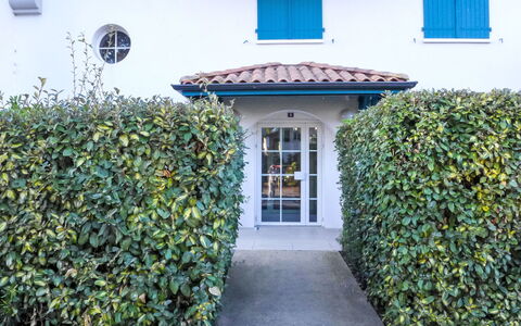 Capbreton 450: Verde, Arbusto, Hedge, Groundcover, Giardino, Shade, Landscaping, Sempreverde