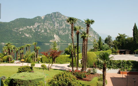 Bissone 50: Vegetazione, Albero, Giardino Botanico, Botanica, Hill Station, Paesaggio, Palma, Pianta, Giardino, Erba