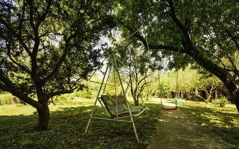 Anica: Pianta, Comunita 'Impianto, Albero, Paesaggio Naturale, Shade, Lotto, Erba, Pascolo, Plain