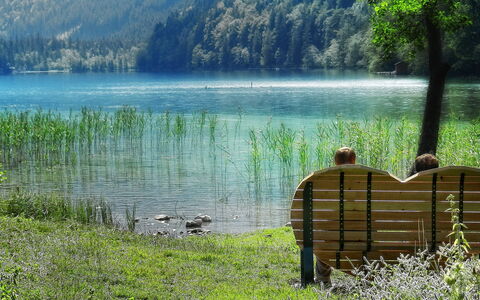 Eisenerz 100: Acqua, Pianta, Paesaggio Naturale, Albero, Lago, Montagna, Vegetazione, Erba, Legna, Alveo