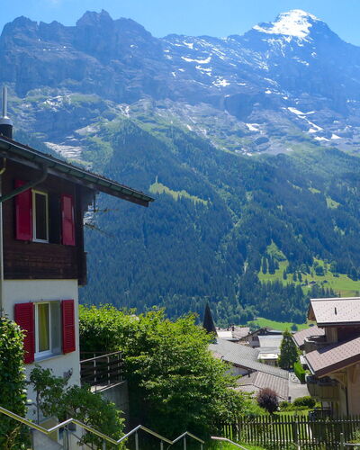 Chalet Albi