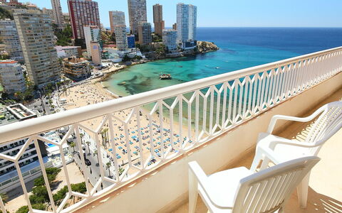 Benidorm 926: Proprietà, Appartamento, Immobiliare, Condominio, Costruzione, Balcone, Azzurro, Vacanza, Camera, Mare