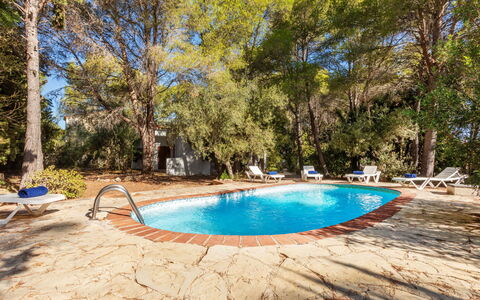 Villa Pinos: Blu, Albero, Legna, Piscina, Shade, Mobili Da Esterno, Ricorrere, Landscaping, Eco Hotel, Backyard