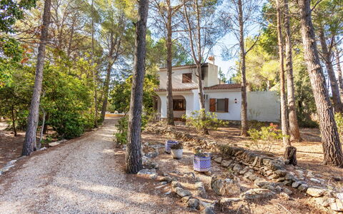 Villa Pinos: Albero, Ramo, Tronco, Villetta, Woodland, Shade, Suolo, Trail, Boschetto