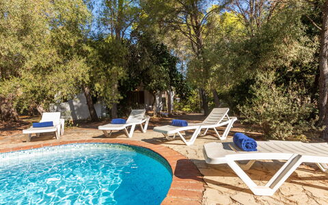 Villa Pinos: Blu, Piscina, Mobili Da Esterno, Ricorrere, Shade, Sedia, Estate, Eco Hotel, Landscaping, Hacienda