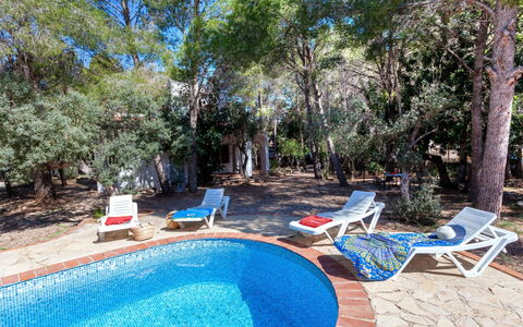 Villa Pinos: Acqua, Pianta, Proprietà, Mobilia, Piscina, Azzurro, Blu, Albero, Shade, Sedia