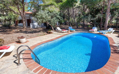 Villa Pinos: Acqua, Pianta, Piscina, Blu, Albero, Mobili Da Esterno, Shade, Tempo Libero, Materiale Composito, Ricreazione