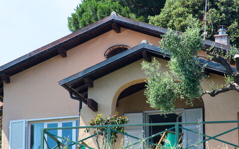 Villa Sara: Pianta, Costruzione, Proprietà, Cielo, Albero, Finestra, Architettura, Casa, Legna