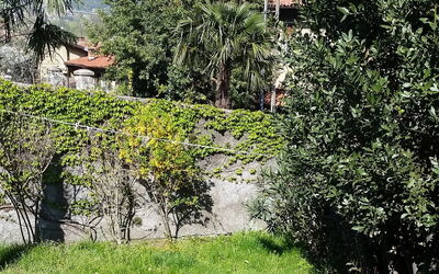 Il Mulo