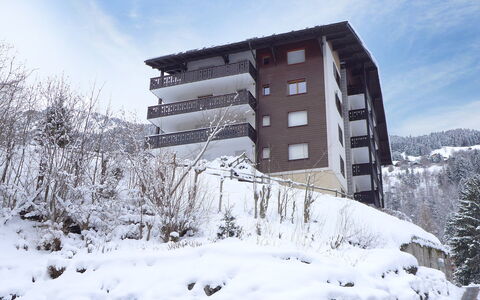 Champbois: Cielo, Costruzione, Nube, Neve, Pianta, Albero, Finestra, Casa, Zona Residenziale, Urban Design