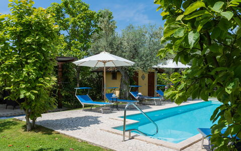 Olive Grove Sabina: Pianta, Azzurro, Acqua, Botanica, Shade, Mobili Da Esterno, Albero, Cielo, Piscina, Tempo Libero