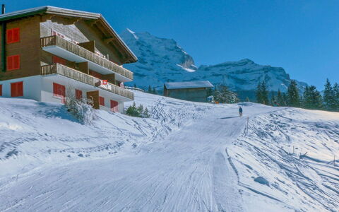 Tschingelhorn Apt. R: Cielo, Costruzione, Montagna, Finestra, Neve, Pendenza, Albero, Casa, Geomorfologia Glaciale, Terreno