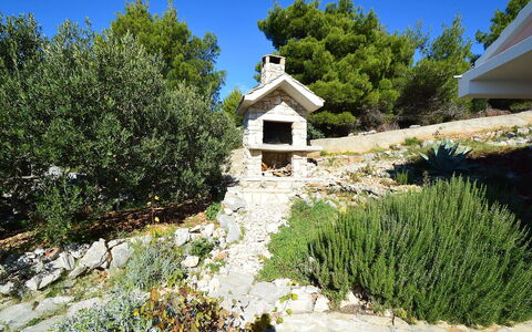 Mira: Pianta, Cielo, Proprietà, Albero, Lotto, Paesaggio Naturale, Biome, Arbusto, Groundcover, Villetta