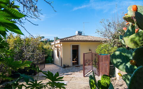 Vista Mare Noto: Proprietà, Casa, Casa, Immobiliare, Villetta, Costruzione, Botanica, Pianta, Albero, Estate