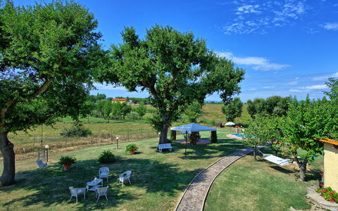 Casa Catia: Proprietà, Albero, Immobiliare, Cortile, Trasporto, Giardino, Casa, Lotto, Area Rurale, Casa