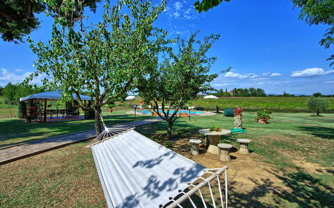 Casa Catia: Albero, Immobiliare, Erba, Woody Impianto, Tempo Libero, Paesaggio, Pianta, Area Rurale, Casa, Ricreazione