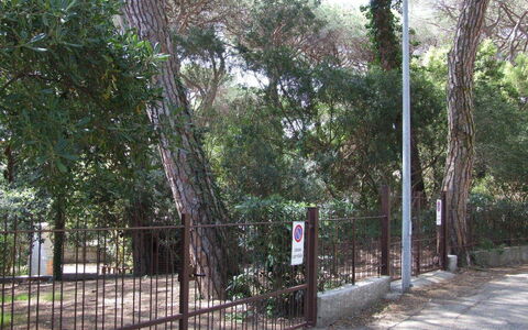 Appartamento - Le Finestre: Albero, Proprietà, Recinzione, Woody Impianto, Immobiliare, Pianta, Lotto, Casa, Foresta, Paesaggio