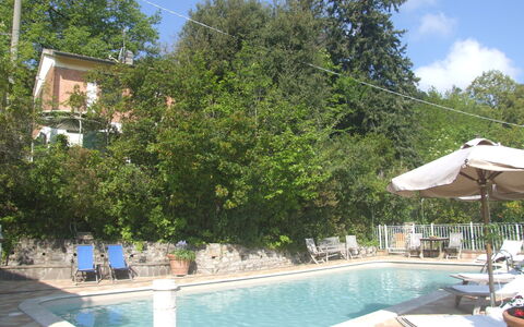 Villa La Quercia: Acqua, Pianta, Cielo, Costruzione, Nube, Azzurro, Piscina, Albero, Mobili Da Esterno, Shade