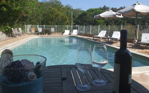 Villa Il Castagno: Acqua, Proprietà, Piscina, Azzurro, Pianta, Albero, Mobili Da Esterno, Bottiglia, Cielo, Tempo Libero