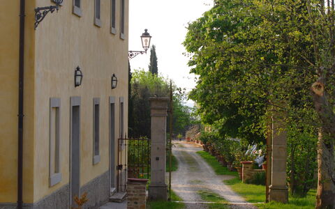 Tenuta Il Tresto: Albero, Cittadina, Strada, Vicolo, Parete, Strada, Architettura, Quartiere, Casa, Costruzione