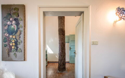 Marina Dei Ronchi Prestige: Proprietà, Camera, Parete, Porta, Casa, Interior Design, Casa, Pavimento, Costruzione, Albero