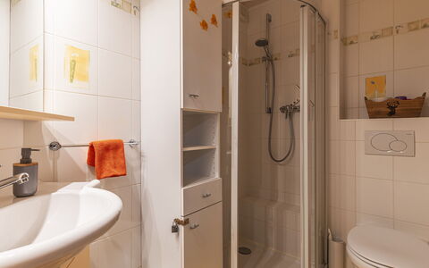 Bouquetins: Soffione Doccia, Proprietà, Idraulico Fixture, Bagno, Rubinetto, Doccia, Viola, Doccia Bar, Casa
